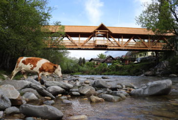 Sonderbau Radbrücke Mühldorf